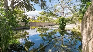 Conoce Arb&oacute;rea, Tour by Square Capital Mx