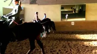 VIDEO0355