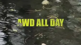 AWD All Day - GH5 // Vivitar 135mm f2.8