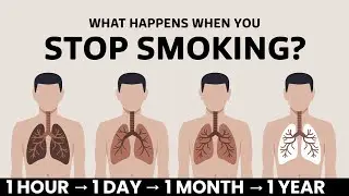 What Happens To Your Body When You Stop Smoking NOW?