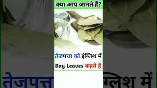 तेजपत्ता का इंग्लिश - Bay Leave #trendingshorts #meaning #englishmeaning #shortsfeed #shorts #viral