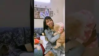 Winter Me Cat Ke Liye Ye 4 Cheeze Zaroor Rakhe 🥶🐈 | Cat Care Tips