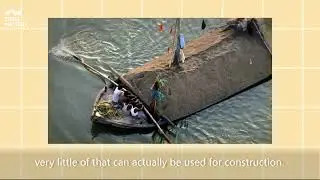 Why does Saudi Arabia import sand?