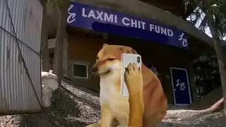 Most funny Paytm fraud call recording | Doge videos