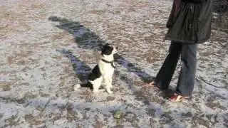Bas is geplaatst!