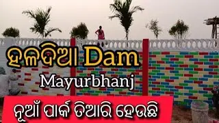 Mayurbhanj Haldia Dam Nua Mini Park #beautykunivlog 