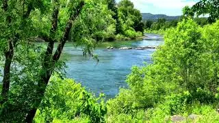Relaxing Music with Birds Singing Beautiful Piano | Relaxing Nature Sounds | Calming Music | Sleep