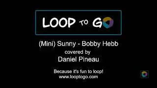 LoopToGo - Mini Sunny - Bobby Hebb cover by Daniel Pineau