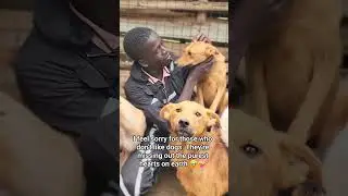These dogs were once forgotten&hellip; today they know love, safety, and hope. This is why I keep going 🐶❤️