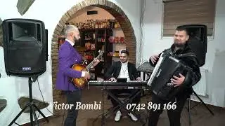 Victor  bombi -Banat s&acirc;rbesc
