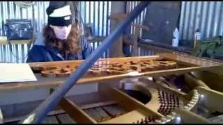 Shira Shaked Plays The World's Largest Piano