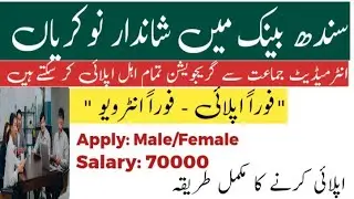 Sindh Bank Jobs 2026 | How to Apply online |  step-by-step Guide