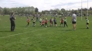 Farnham RFC Minis - End of Season 2013/2014