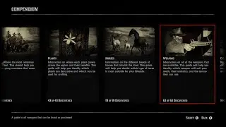 RDR2 100% Complete Weapons Compendium