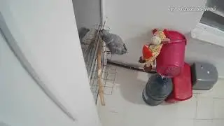 ÇOK AYIP AYŞE