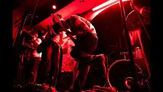 Dogs | Live at the Shacklewell Arms