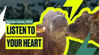 Listen To Your Heart | Renan Larue, PhD on Speciesism