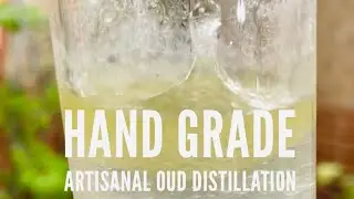 Hand graded artisanal oud distillation