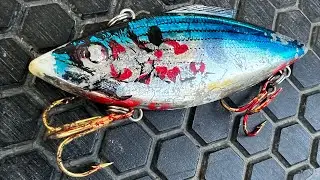 2 rattletrap lipless crankbait colors for fall