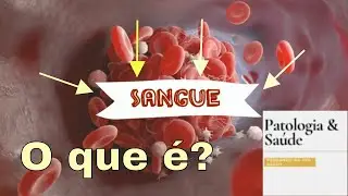 SANGUE - Visão geral (Histologia)