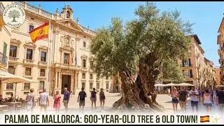 Plaça de Cort Walking Tour: Palma de Mallorca's Historic Heart 🇪🇸 | Old Town Ambience