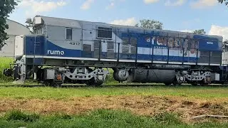 Trens Cimenteiros no pátio da Rodoferroviaria de Curitiba