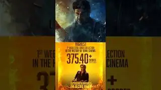 Jailer Official Box Office Collection | Jailer Collection Worldwide | #rajinikanth #shivarajkumar