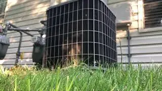 2000s Carrier 38YCC Heat Pump Starting Up