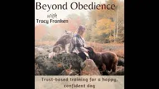123 | When Your Dog Training Isn&rsquo;t Working: 3 Signs It&rsquo;s Not a Training Problem