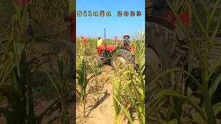 SILAŽA 2023#silaža#silaža2023#selo#tuvivaj#zivotna selu#traktor #kukuruz  #srbija #idegas #selomoje
