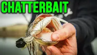 The BEST Chatterbait Trailer?  (New Komodo Bait Colors)
