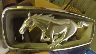 Mustang #001