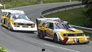 Audi S1 Quattro Special - Bergrallye Hill Climb Gasen 2023 || Nikolay Zlatkov & Roman Loinger