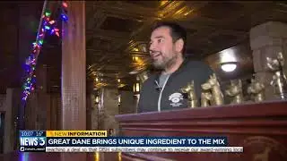 'No holds barred with beer and brewing': Great Dane adds CBD-infused beer, drinks to the mix