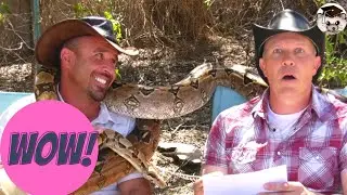 Critter ED TV Red Tailed Boas