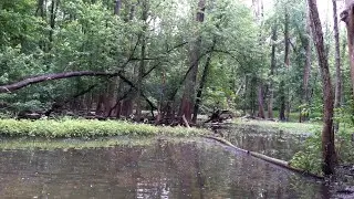 1- Day Ohio License: Red Worms Dominate St. Mary&rsquo;s River! (Carp & Catfish)