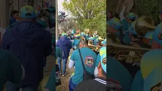 toro de 11 al estilo de la Destructiva Banda Tromba #chinelosviajeros