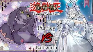 Purrley VS Labrynth | YuGiOh! Feature Match! | Round 4 | September 2023