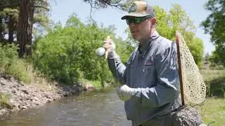 Chris Rich of AZ Fly Shop