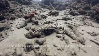 931 climate change stock footage video