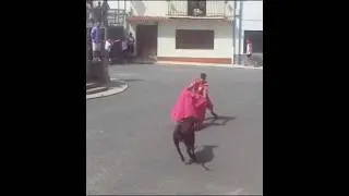 Toreando la Becerra.(Cinctorres 29-08-2025) #toros