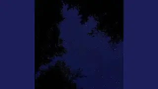 insomnia