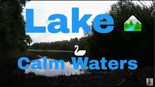ASMR Lake View – Calm Waters & Nature’s Whisper