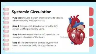 Human heart full chapter notes #duhs #dcts