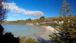Walk the Perfect Tasmanian Coast: Boat Harbour Beach Hike | Immersive Seaside Views