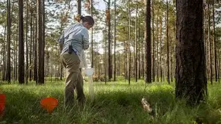 Water Consumption: An Ecohydrology Research Spotlight