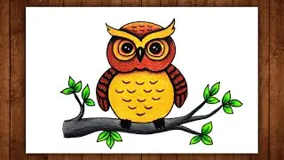 Owl Drawing || Owl Drawing Colour || Owl Colour || Bird Drawing easy