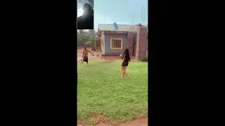 This is beautiful #football #cute #soccer #africansports #africasports #culture