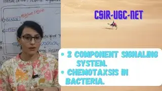 2 Component Signaling System || Chemotaxis in Bacteria
