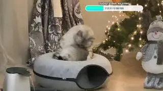 Добрый вечер